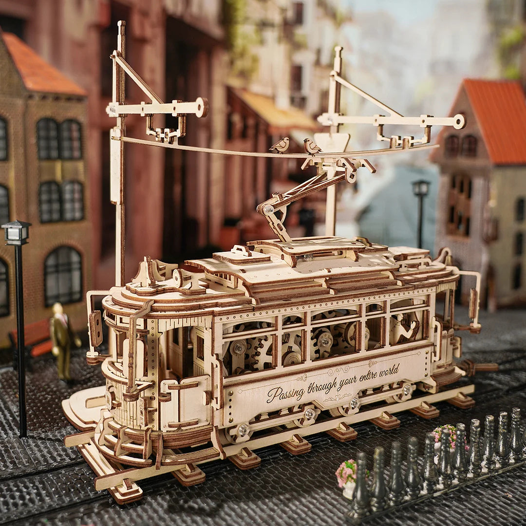 3D Holzpuzzles